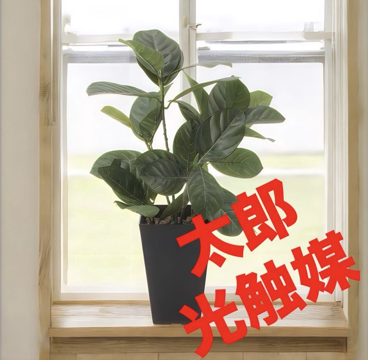 光触媒　人工観葉植物　ウォールグリーン　フェイクグリーン　パンの木45