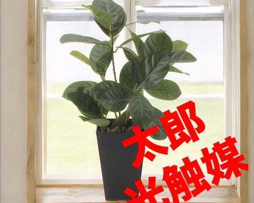 光触媒　人工観葉植物　ウォールグリーン　フェイクグリーン　パンの木125ptw 光触媒 人工観葉植物 ウォールグリーン フェイクグリーン パンの木45