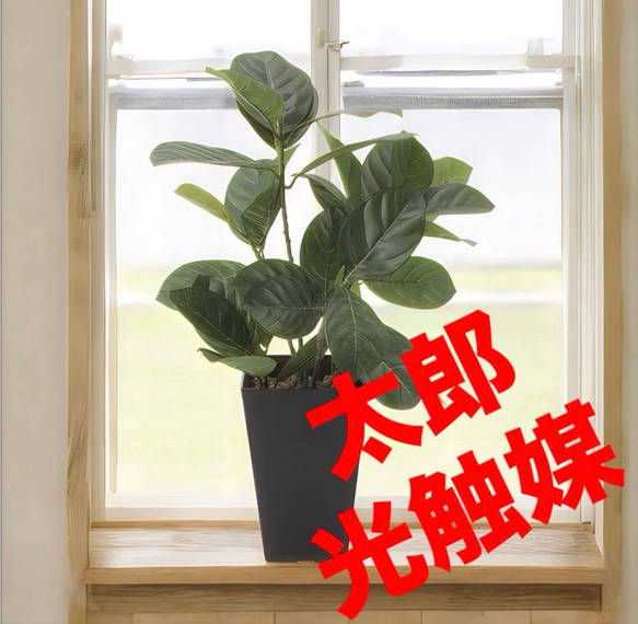 光触媒　観葉植物　ウォールグリーン　フェイクグリーン　ウオールタイプコリウス45 光触媒 観葉植物 ウォールグリーン フェイクグリーン ウオールタイプ