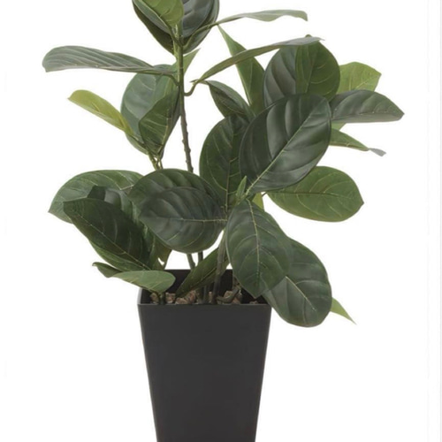 光触媒 人工観葉植物 ウォールグリーン フェイクグリーン パンの木45