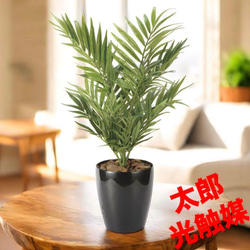 光触媒　人工観葉植物　フェイクグリーン　スリムフレッシュパーム1.55 光触媒 人工観葉植物 フェイクグリーン スリムフレッシュパーム1.55