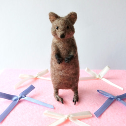 羊毛フェルト エゾリス 羊毛フェルト りすすのす 通販 12042251