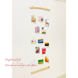 専用 壁一面に写真を飾れるロングサイズのフォトディスプレイ 流木 写真ハンガー ウォールデコ 壁掛け N1 2枚目の画像