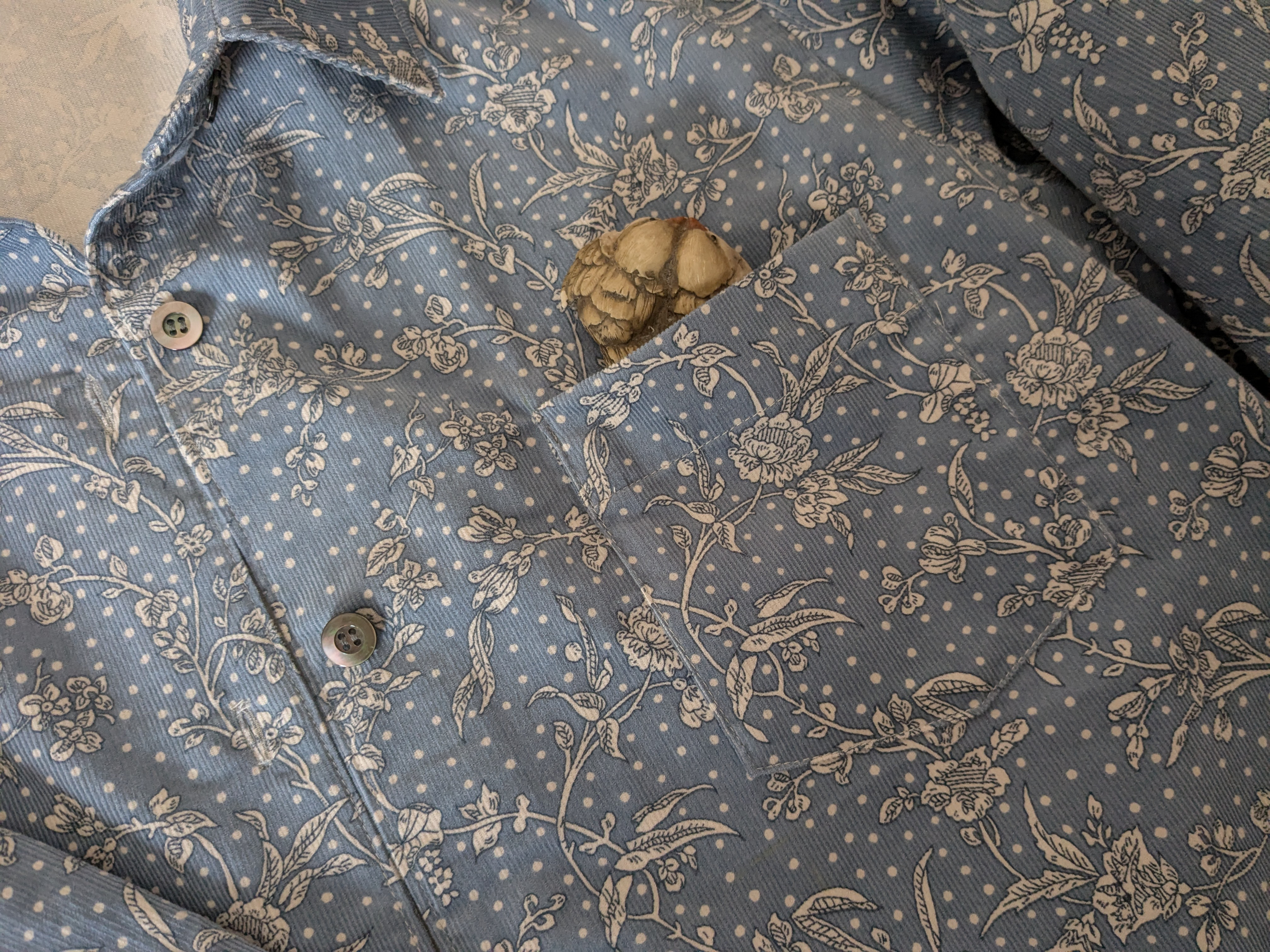 リバティマロリー（爽やかブルー）　コーデュロイ生地　シャープなラインの台衿シャツ　両サイドスリット付　重ね着にも　貝釦