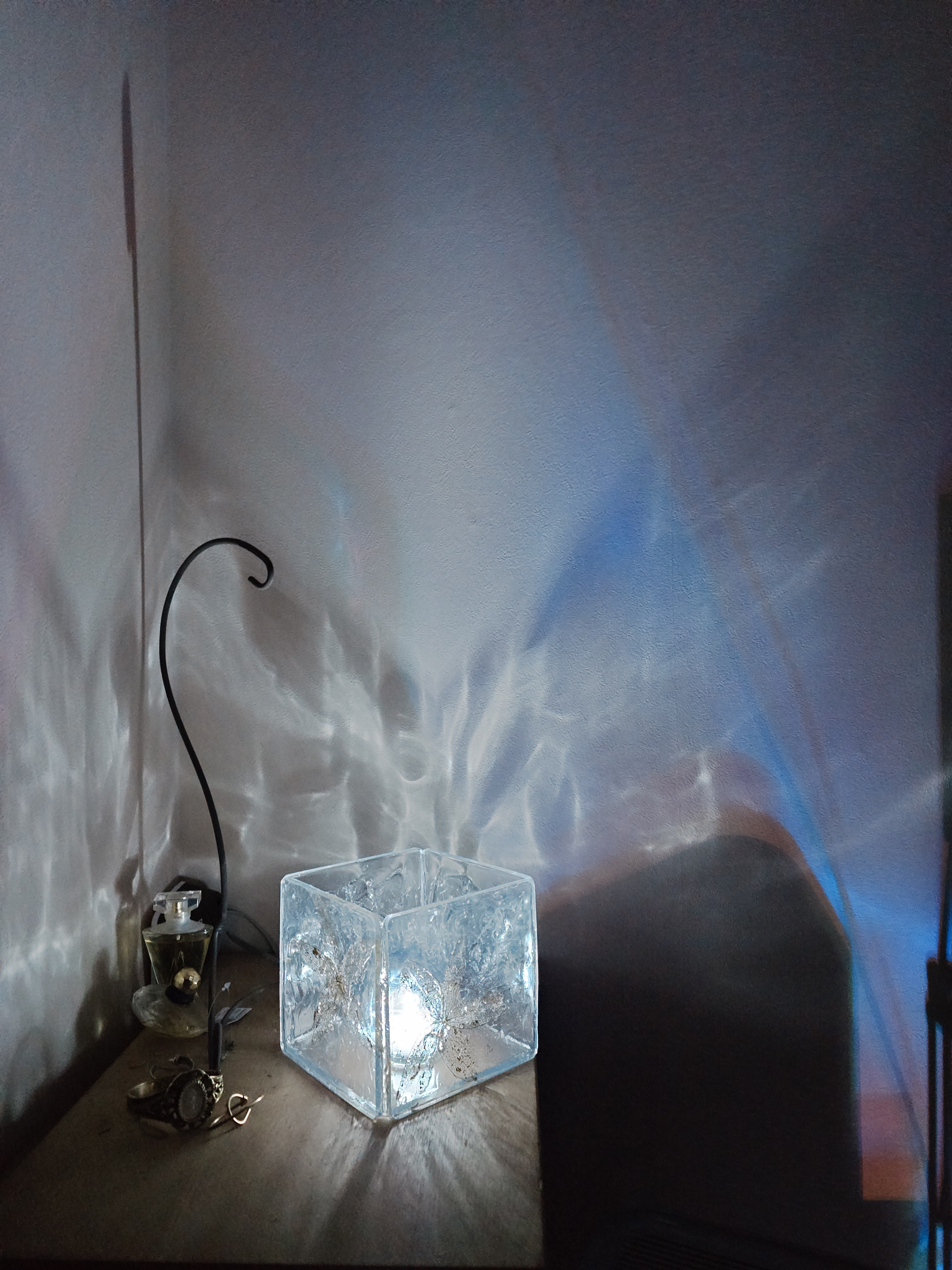 夜に羽を広げる光　 そっと抱きしめるように