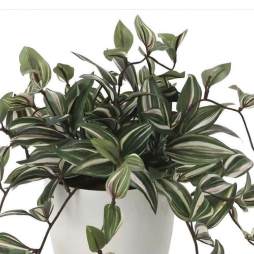 光触媒 人工観葉植物 ウォールグリーン フェイクグリーン トラディスカ