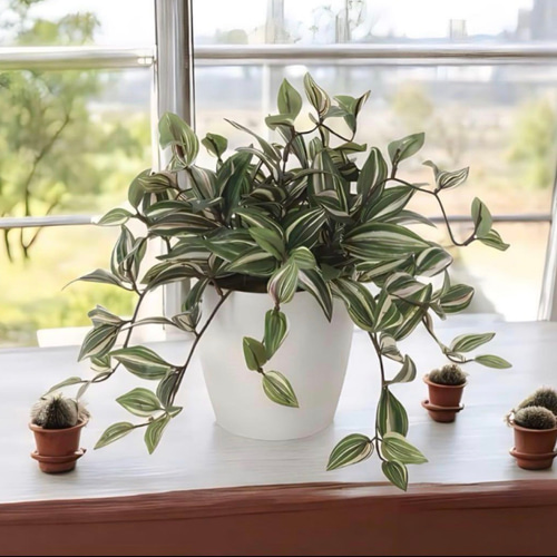 光触媒 人工観葉植物 ウォールグリーン フェイクグリーン トラディスカ