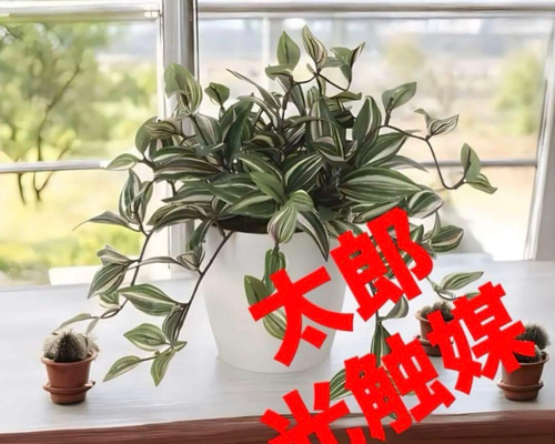 光触媒 人工観葉植物 ウォールグリーン フェイクグリーン トラディスカ