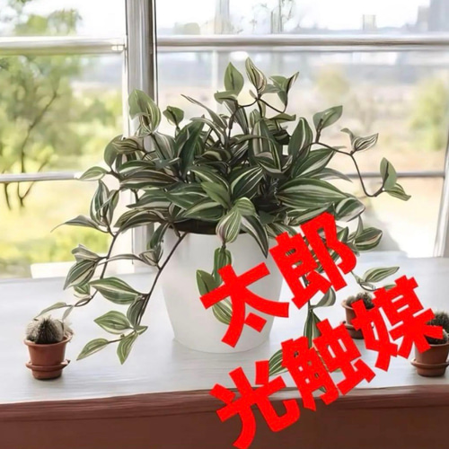 光触媒 人工観葉植物 ウォールグリーン フェイクグリーン トラディスカ