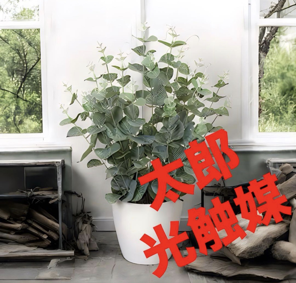 光触媒　人工観葉植物　ウォールグリーン　フェイクグリーン　ユーカリ高さ４２センチ