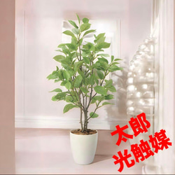 光触媒　人工観葉植物　フェイクグリーン　レシオクイーンスタンド1.2m 光触媒 人工観葉植物 フェイクグリーン レシオクイーンスタンド1.2m
