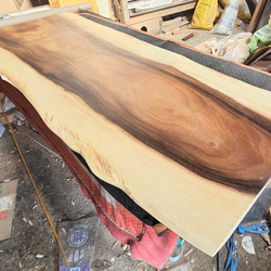 ダイニングテーブル モンキーポット 一枚板 激安 銘木 ダイニング