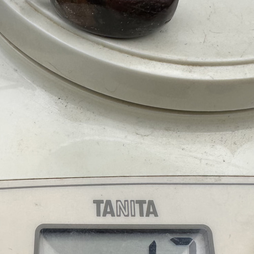 2026.1.23上古魂玉 新潟阿賀野産上質珪化木 ネックレス・ペンダント