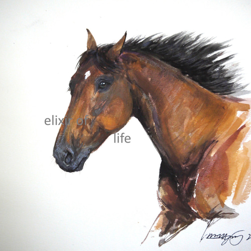 馬の水彩画 オレンジと黒 優しい目の馬2026（高級水彩画用紙31cm×40，5cm、水彩