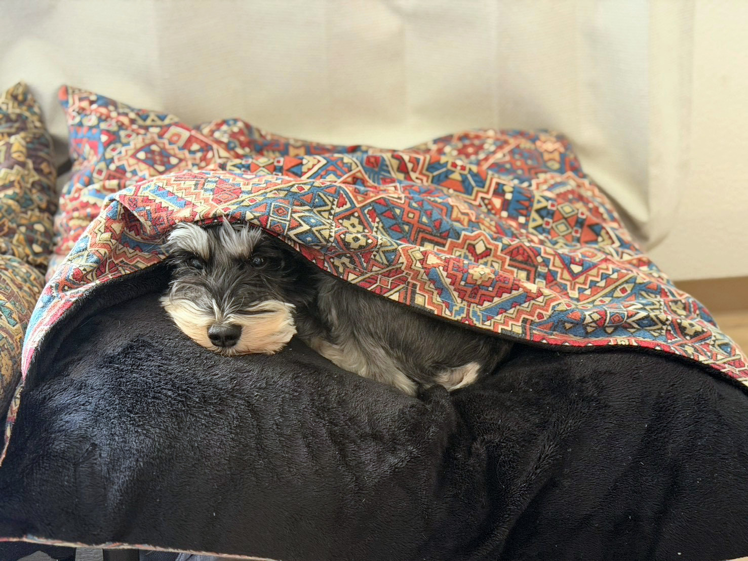 【712】まどろみベッド｜柄起毛 × フェイクファー【65サイズ】