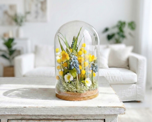 季節の花】ミモザとムスカリ 春のガラスドームL テラリウム momoxx