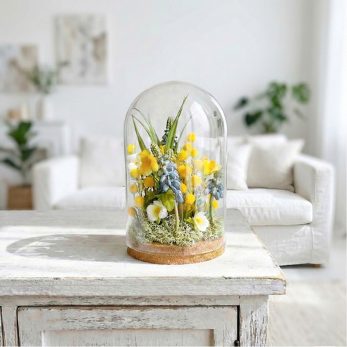 季節の花】ミモザとムスカリ 春のガラスドームL テラリウム momoxx