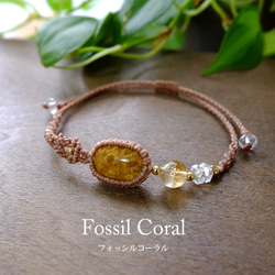 ラリマー（ドミニカ産）・ムーンストーン（6月誕生石）マクラメ編み