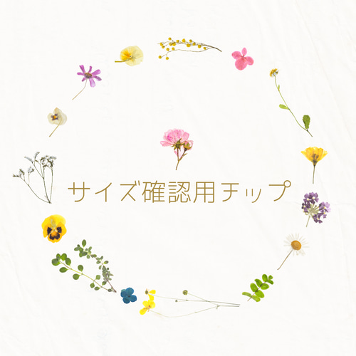 サイズ確認用チップ ネイルチップ（つけ爪） ネイルサロンボーナ 通販 