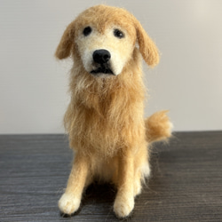 羊毛フェルト ゴールデンレトリバー 犬 羊毛フェルト mofmof art