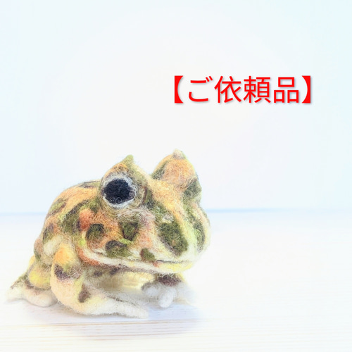 ご依頼品】ツノガエル 羊毛フェルト かえる 人形 うちの子 羊毛