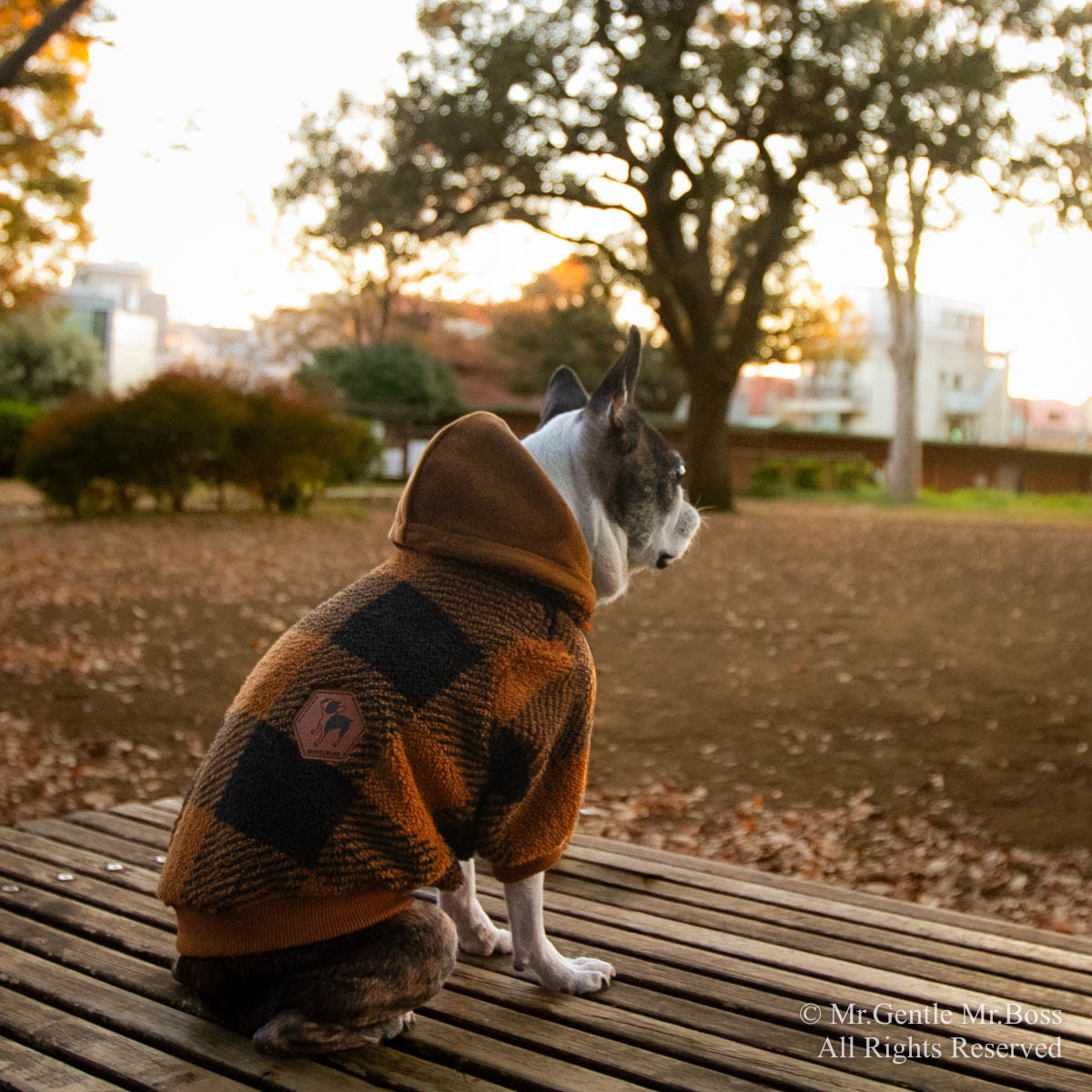 フリースパーカー ブロックチェック　Brown　犬服 キャンプ服　防寒服