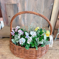 オシャレな鳥かご♡ラウンド大【インテリア雑貨ガーデン雑貨】ジャンク