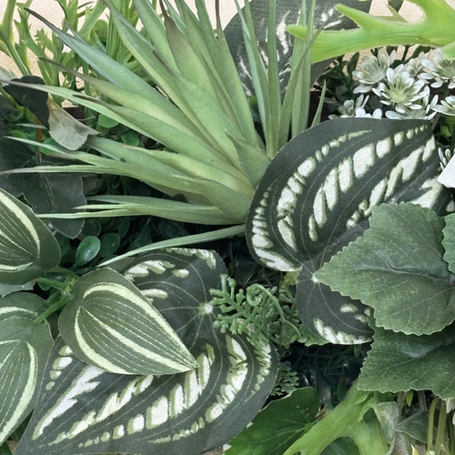 沢山の再販 光触媒加工ウォールグリーン フェイクグリーン壁掛け♡横長