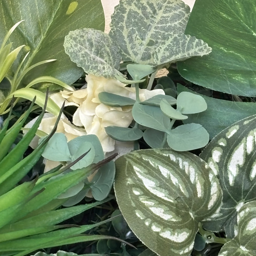 沢山の再販 光触媒加工ウォールグリーン フェイクグリーン壁掛け♡横長