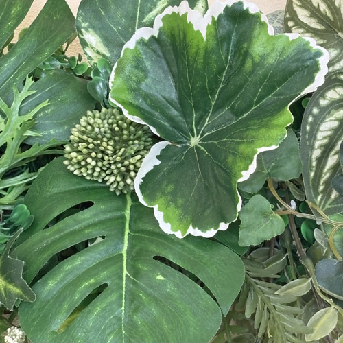 沢山の再販 光触媒加工ウォールグリーン フェイクグリーン壁掛け♡横長