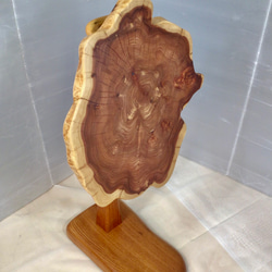 天然木 カイズカイブキ輪切り サイドテーブル 一点物 手造り サイド