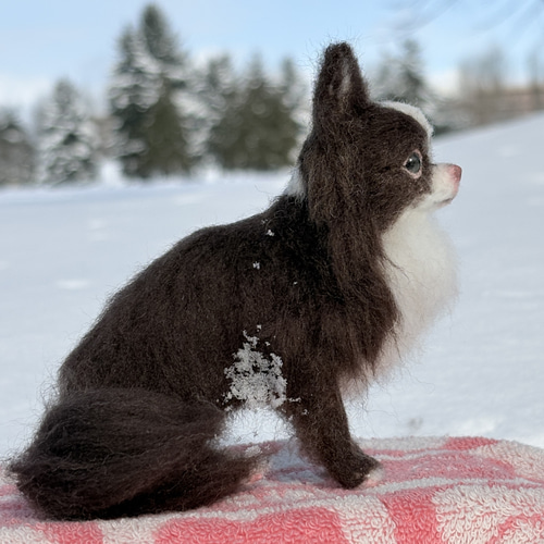 まろんちゃん専用】チワワ 羊毛フェルトオーダー犬 羊毛フェルトチワワ