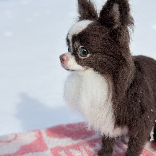 まろんちゃん専用】チワワ 羊毛フェルトオーダー犬 羊毛フェルトチワワ