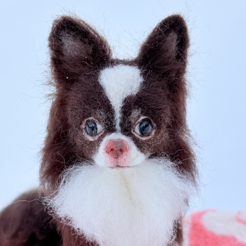 チャッピー様 追加オーダー専用 羊毛フェルト 犬 チワワ チャッピー様