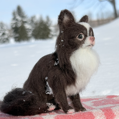 まろんちゃん専用】チワワ 羊毛フェルトオーダー犬 羊毛フェルトチワワ