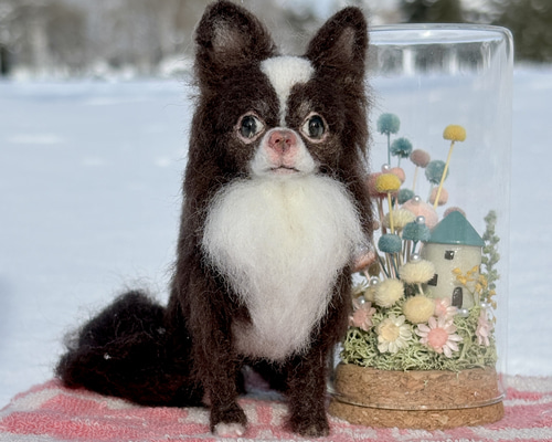 チャッピー様 追加オーダー専用 羊毛フェルト 犬 チワワ チャッピー様
