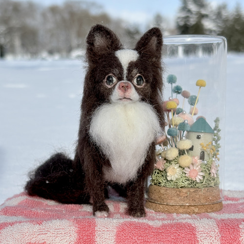 羊毛フェルト ひろみ様のオーダー 羊毛フェルト ひろみ様のオーダー