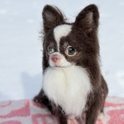 まろんちゃん専用】チワワ 羊毛フェルトオーダー犬 羊毛フェルトチワワ
