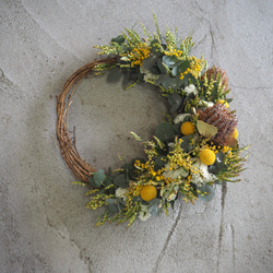 パールアカシアとユーカリのドライリース 直径25センチ ドライフラワー