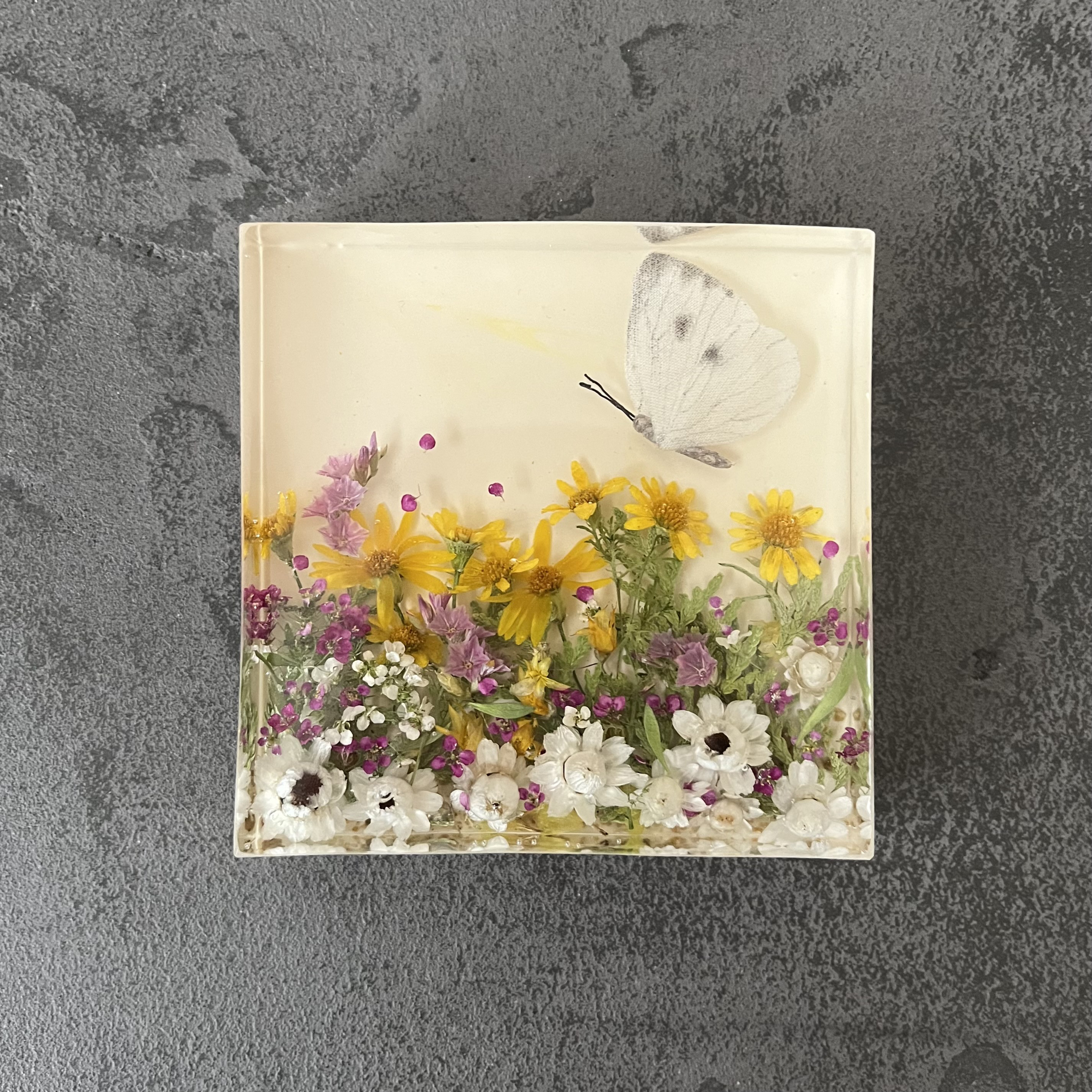 追想標本 『モンシロチョウの庭 ～黄色のデージー～』置物 オブジェ レジン ドライフラワー 蝶 フラワーアレンジ