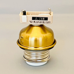 天井照明 Begonia/C シーリングライト E26 LED 北欧 インテリア 天井照明 Begonia/C シーリングライト E26 レトロ 北欧 インテリアの