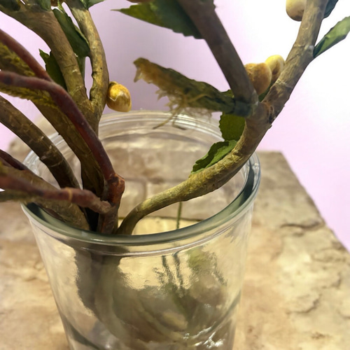 光触媒 人工観葉植物 ウォールグリーン フェイクグリーン エミリオロバ
