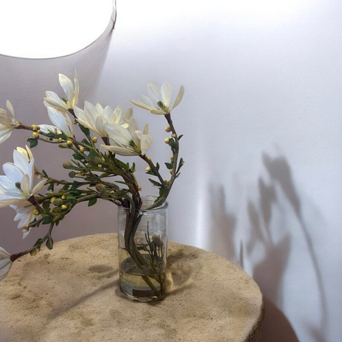 光触媒 人工観葉植物 ウォールグリーン フェイクグリーン エミリオロバ