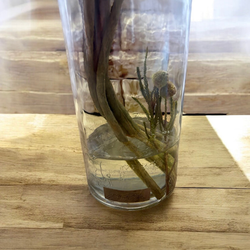光触媒　観葉植物　ウォールグリーン　フェイクグリーン　エミリオロバ　マグノリアＭ 光触媒 人工観葉植物 ウォールグリーン フェイクグリーン エミリオロバ