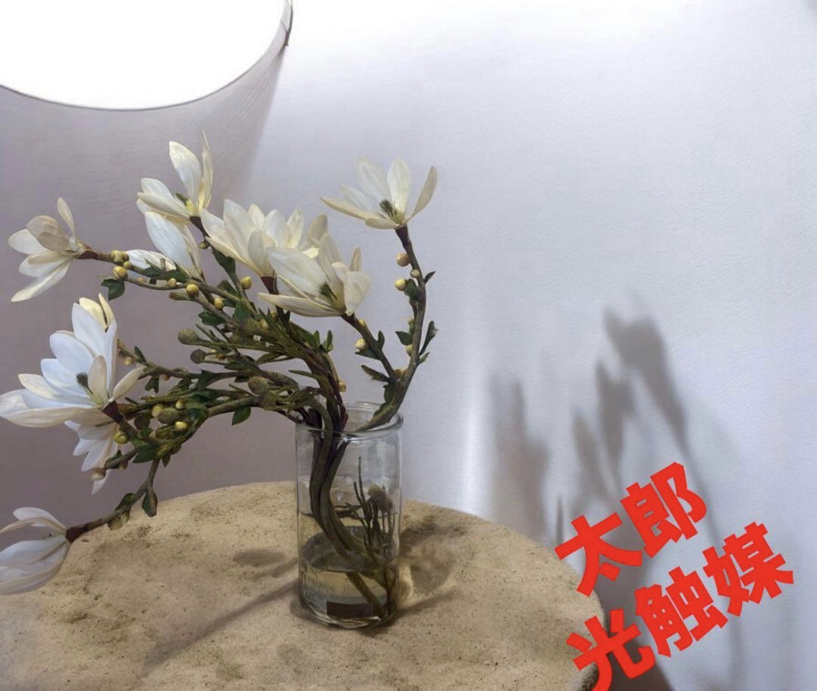 光触媒　人工観葉植物　ウォールグリーン　フェイクグリーン　エミリオロバ　マグノリアＭ