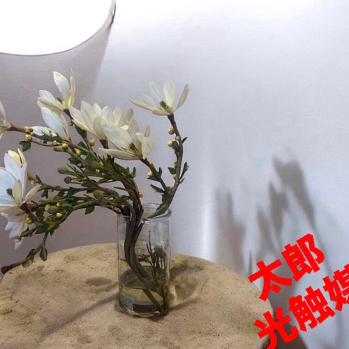 光触媒 人工観葉植物 ウォールグリーン フェイクグリーン エミリオロバ