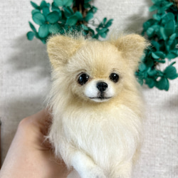 羊毛フェルト　おっとり顔のチワワちゃん　no.22 羊毛フェルト おっとり顔のチワワちゃん 羊毛フェルト needle