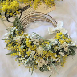 春の訪れ2026[予約販売]ナチュラルミモザリース ミモザ ドライフラワー