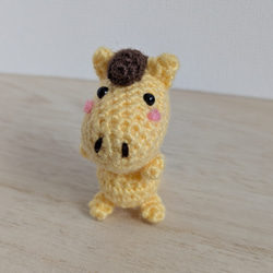 あみぐるみ とり鳥 セキセイインコ 白×水色 鼻青 手染め毛糸