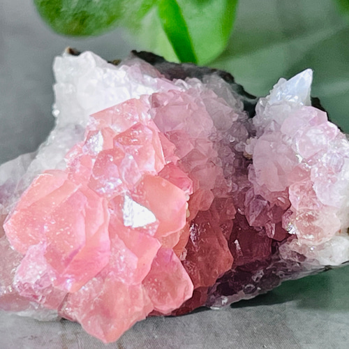 アルゼンチン産 睡蓮ピンクアメジスト クラスター 紫水晶 water lily